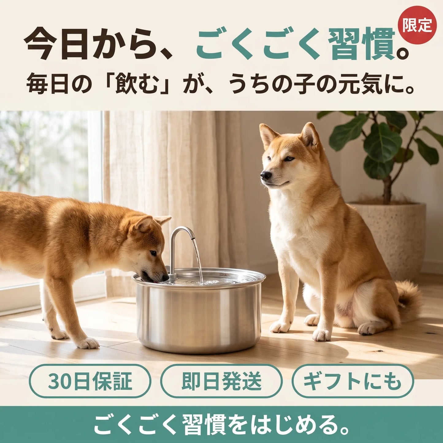 ごくごくファウンテン
