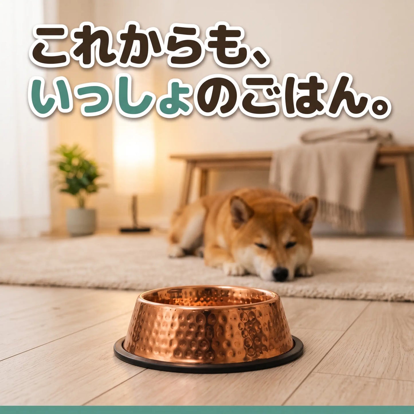 ぴかぴかカッパーボウル