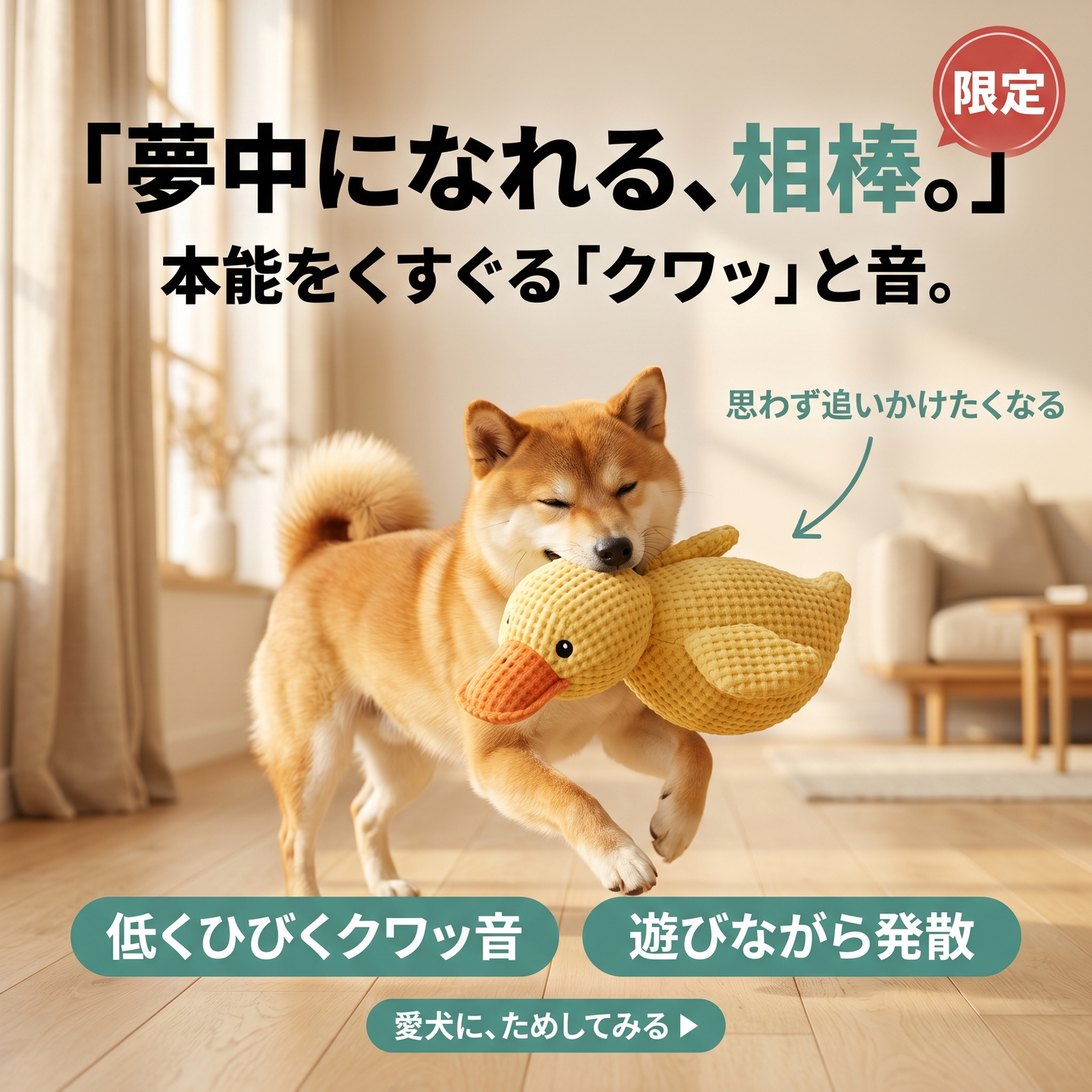 カーミングダック 音が鳴る犬用ぬいぐるみ