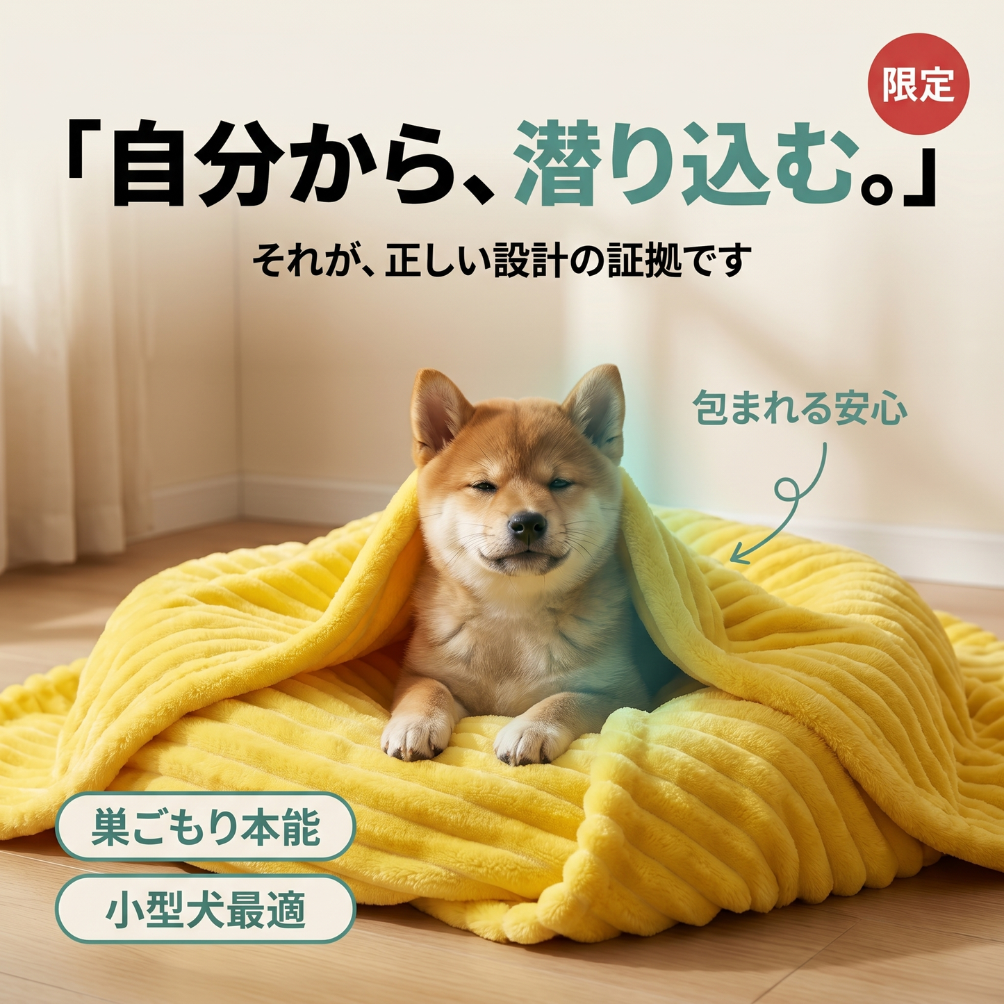 犬猫用 カーミングブランケット 70×100cm