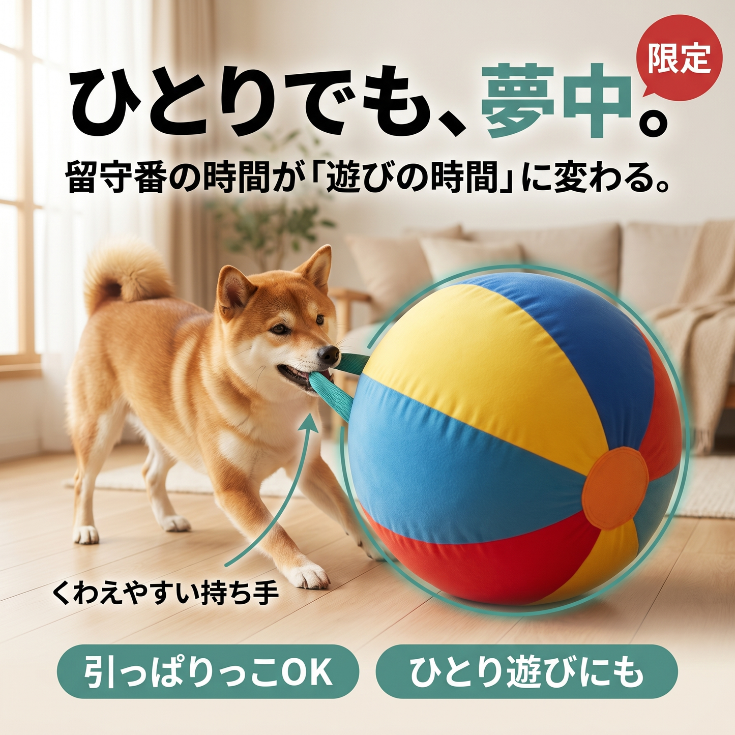 ジャンボボール 全犬種・猫対応