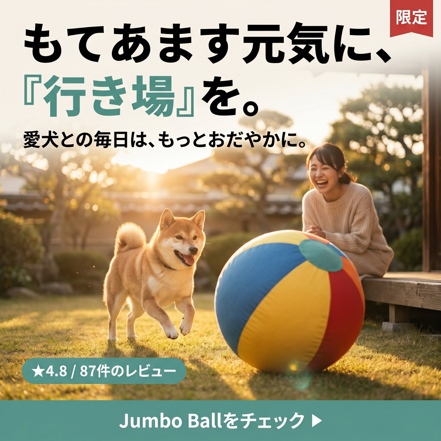 ジャンボボール 全犬種・猫対応