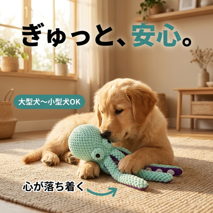 ぎゅたこ