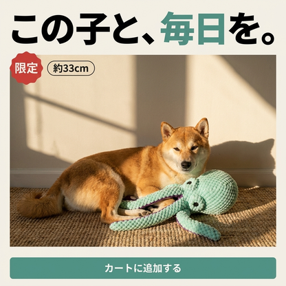ぎゅたこ