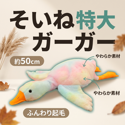 そいねガーガー
