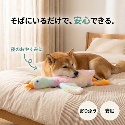 そいねガーガー