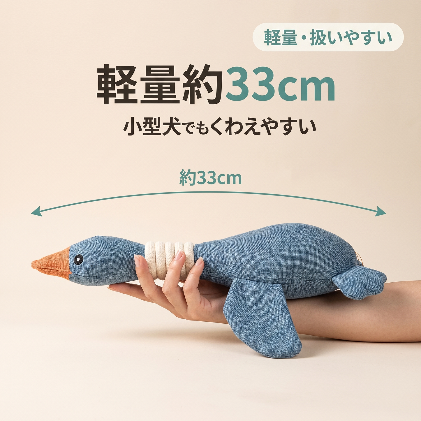 のびのびダック