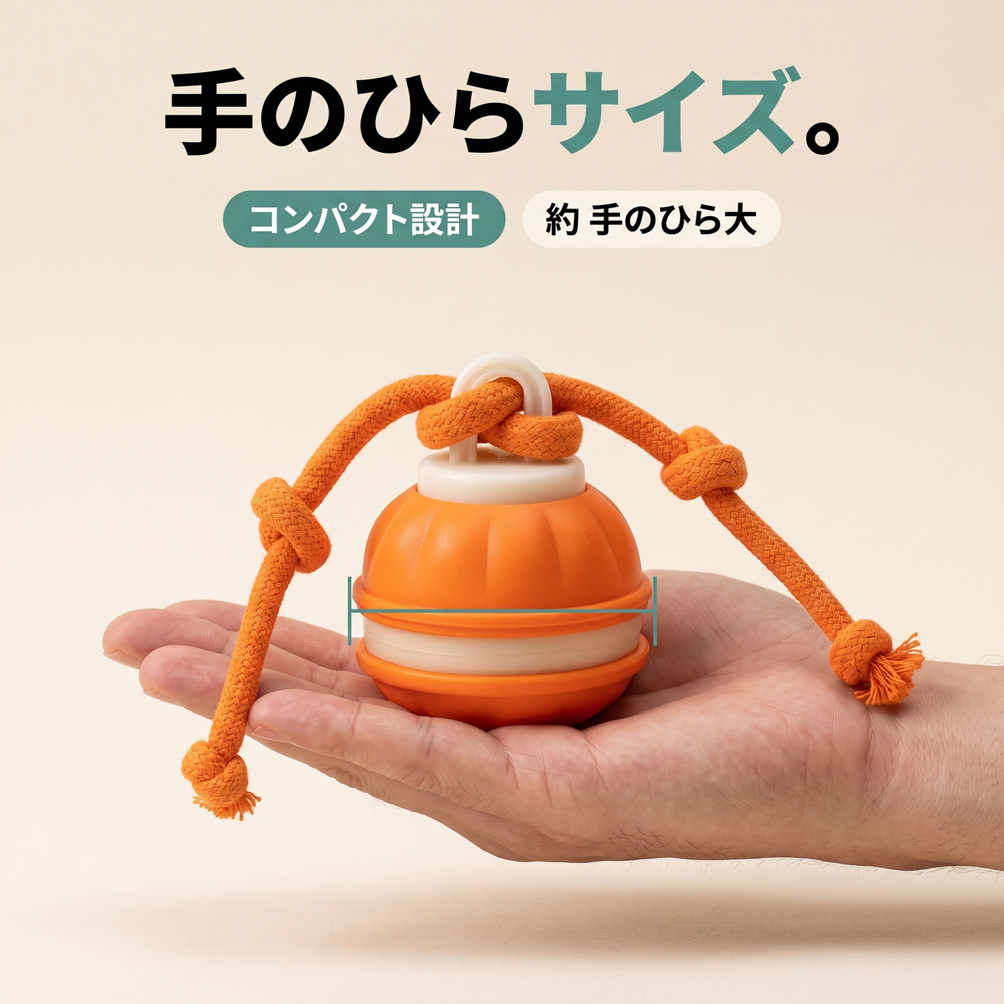 ころりんワンダー