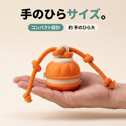 ころりんワンダー