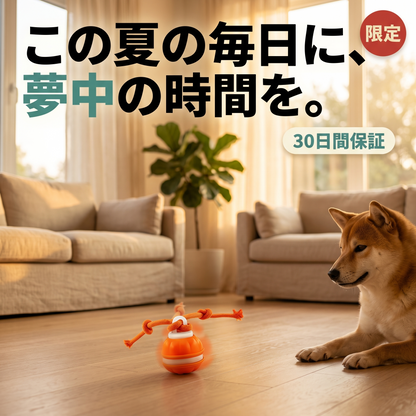 ころりんワンダー