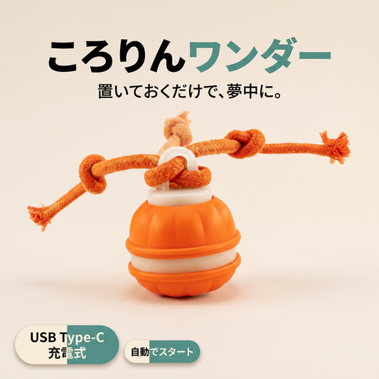 ころりんワンダー