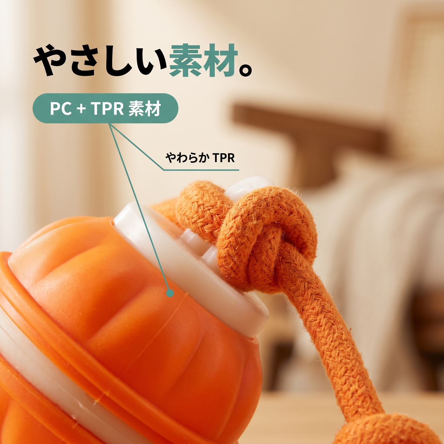 ころりんワンダー