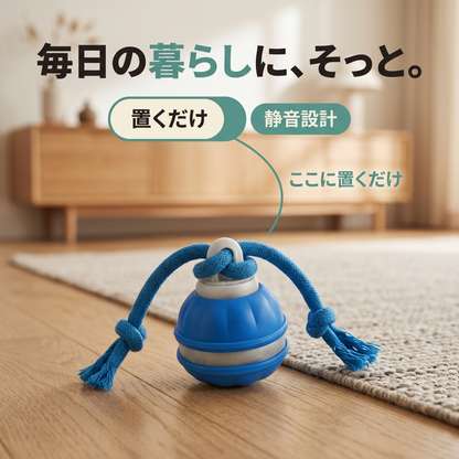 ころりんワンダー