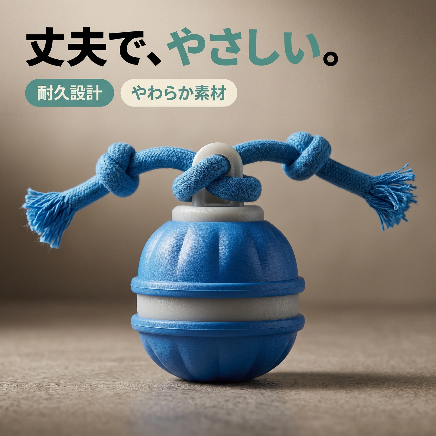 ころりんワンダー