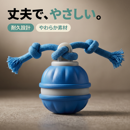 ころりんワンダー