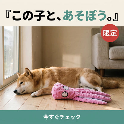 くたくたタコさん