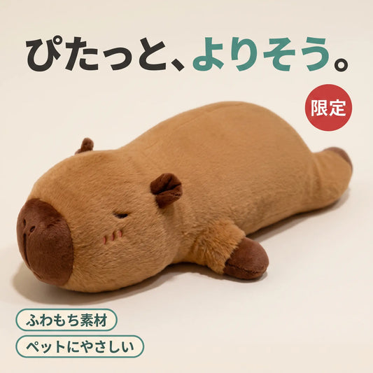 ごろんとカピバラ