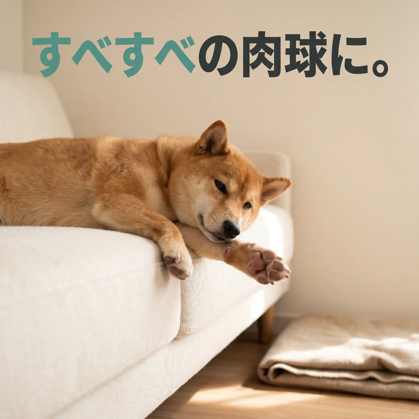そっとカット ペット用足裏バリカン