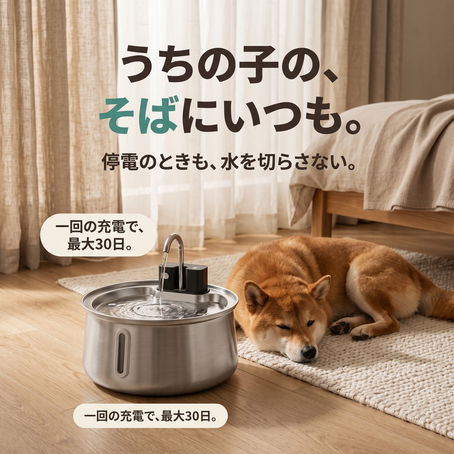 せせらぎ給水ファウンテン コードレス犬用自動給水器