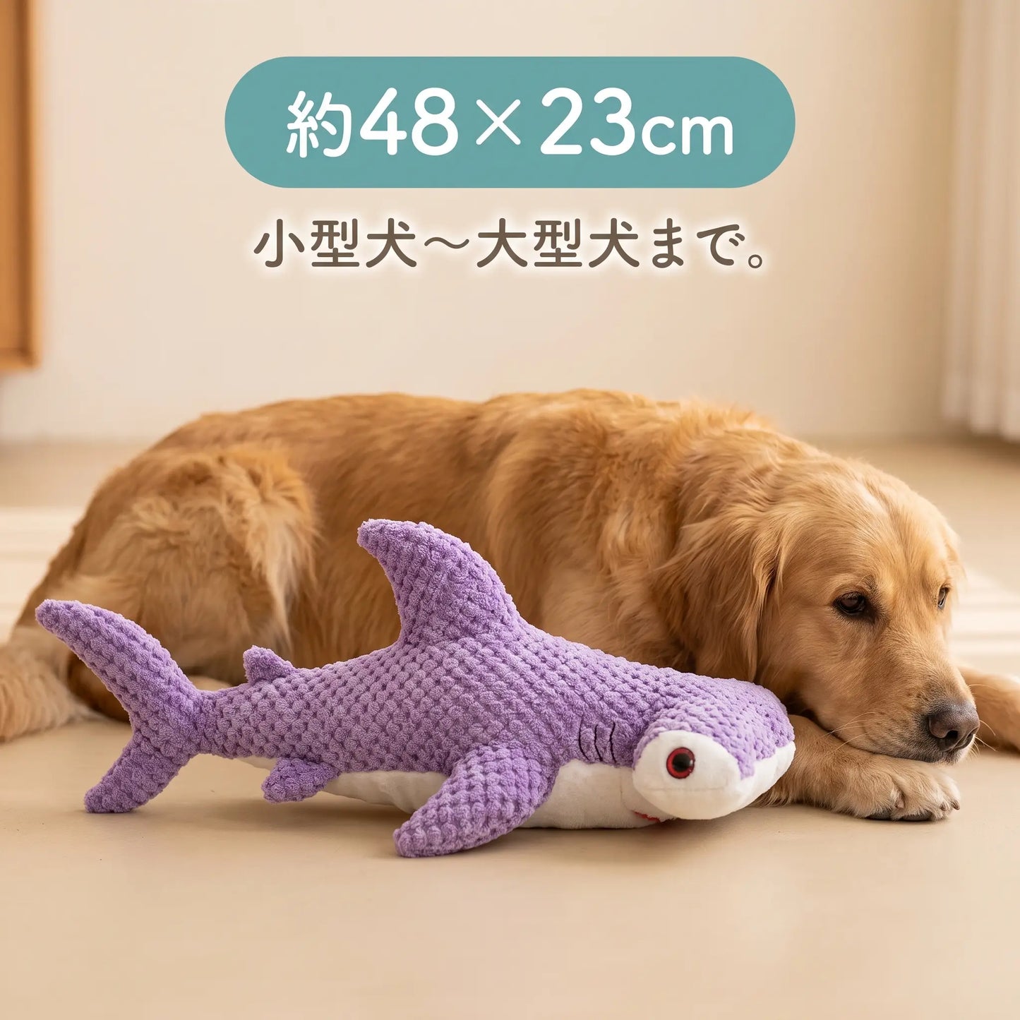すいすいシャーク