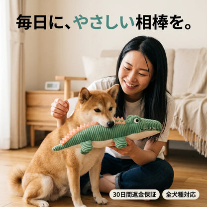 がぶがぶワニ