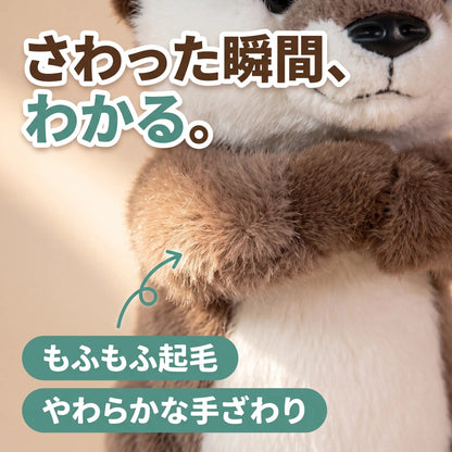 もふもふカワウソ