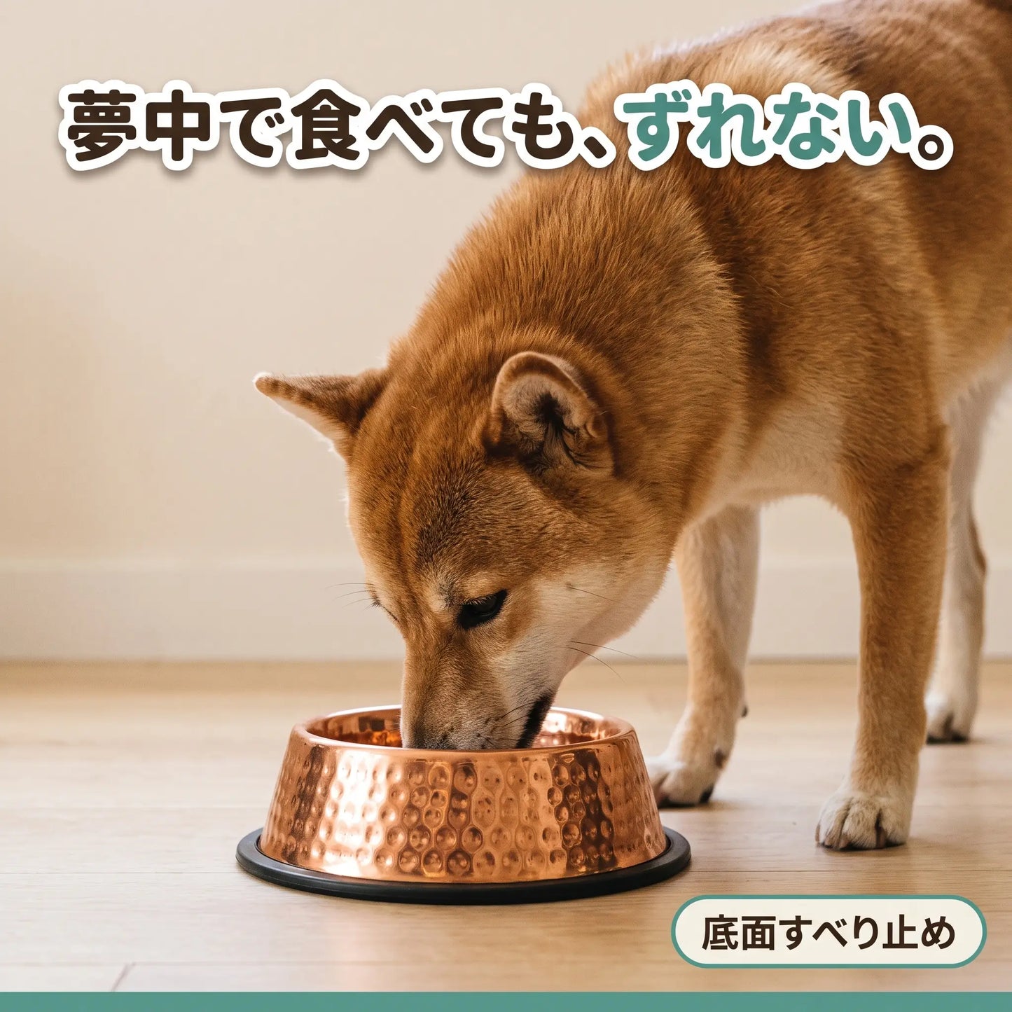 ぴかぴかカッパーボウル