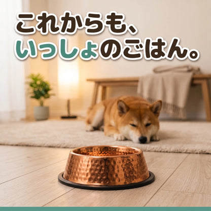 ぴかぴかカッパーボウル