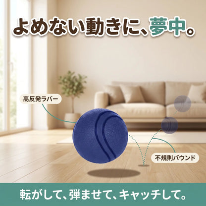 犬用 ラバーボール