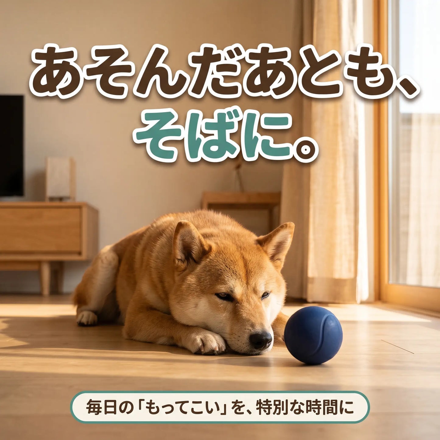 犬用 ラバーボール