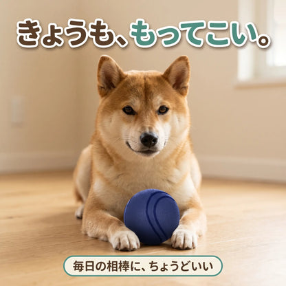 犬用 ラバーボール