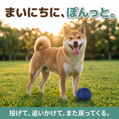 犬用 ラバーボール