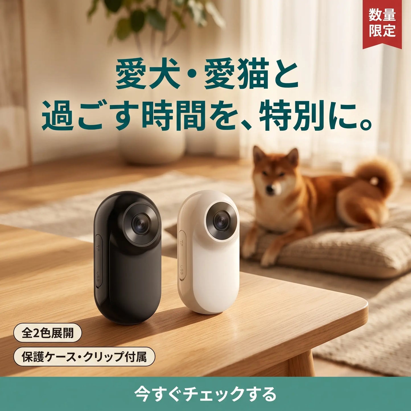 パシャっとカメラ