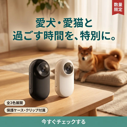 パシャっとカメラ