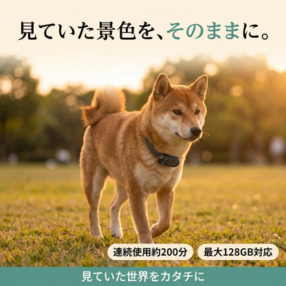 パシャっとカメラ