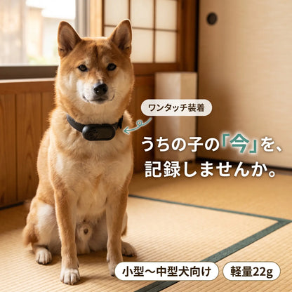 パシャっとカメラ